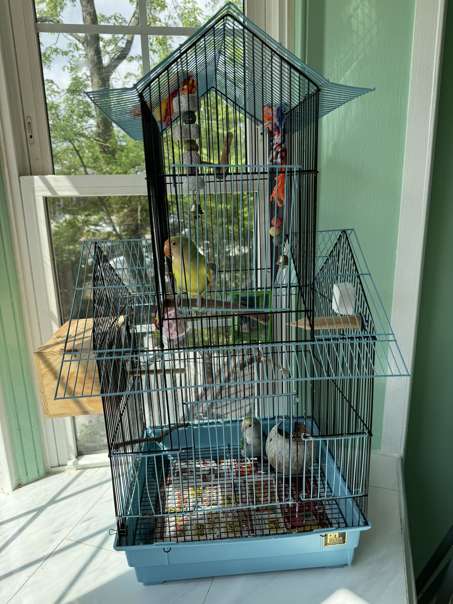 bird cage