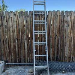 8 Ft Ladder