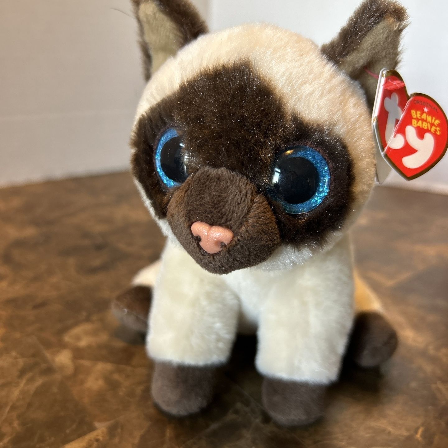 Ty jaden top siamese cat