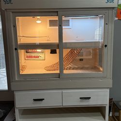 Bearded Dragon Enclosure