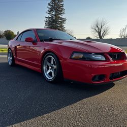 2003 Mustang Cobra 10th Anniversary