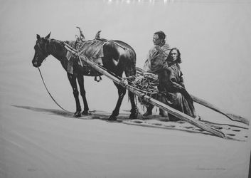 Art Print - Limited Edition - William Nelson