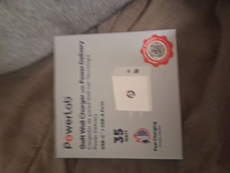 PowerLab wall Charger