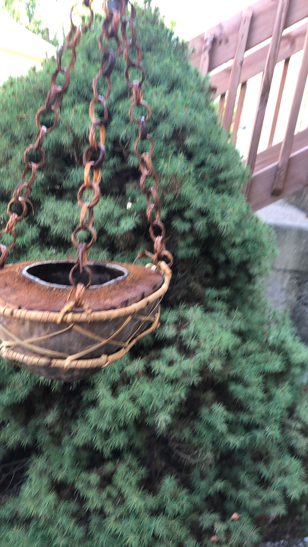 1/2 Coconut Shell Hanging Planter