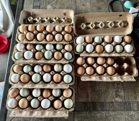 Fresh Eggs! Not Fertilized. Eggs For Eating