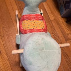 Echo Whale 