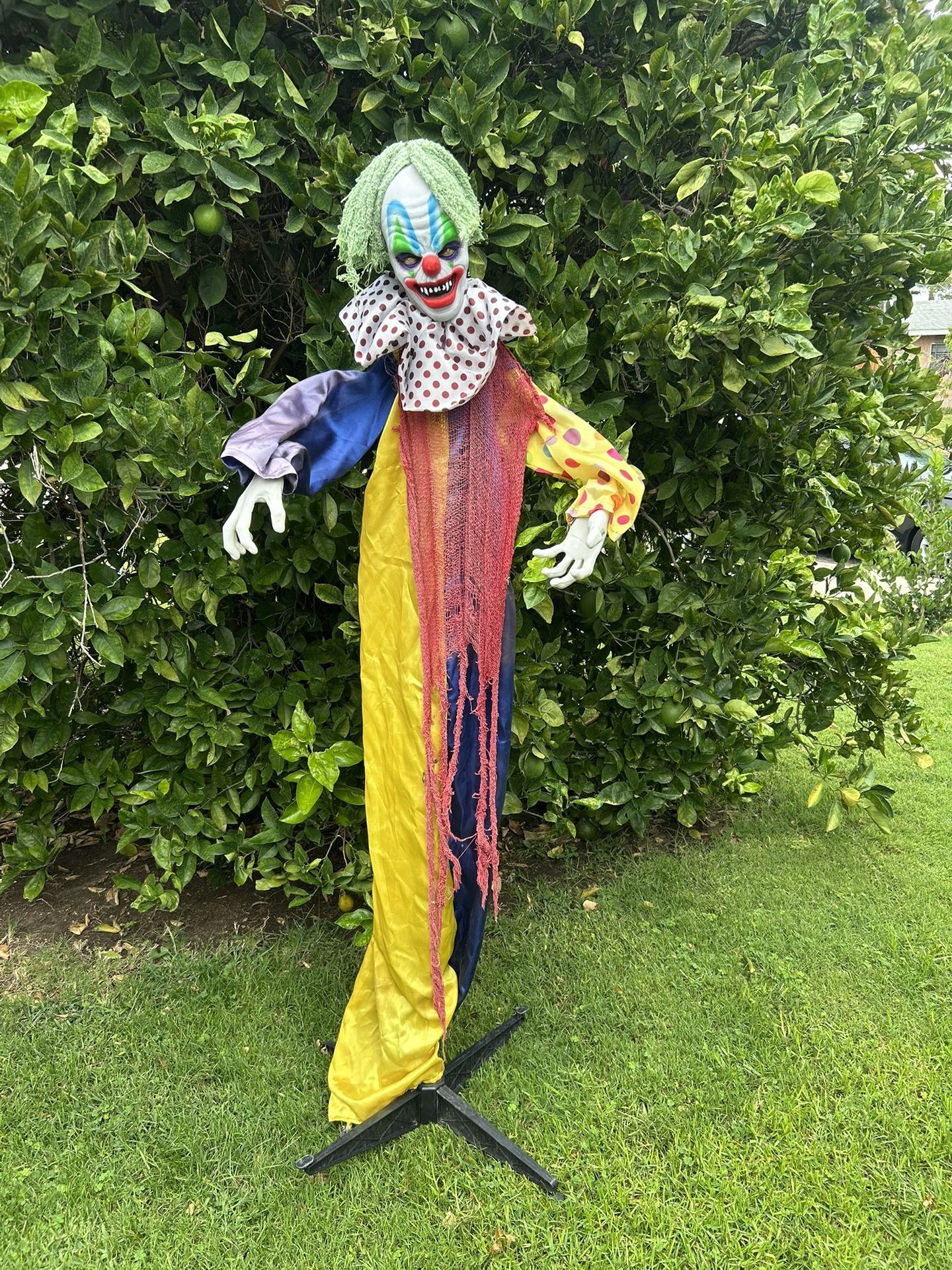 Halloween Decorations