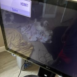 LG Flat Screen Tv