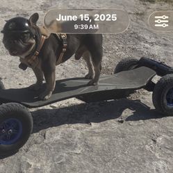 Mepo Electric Skateboards