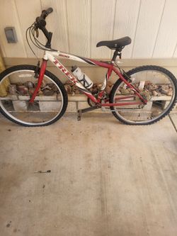 24" Trek boys bike