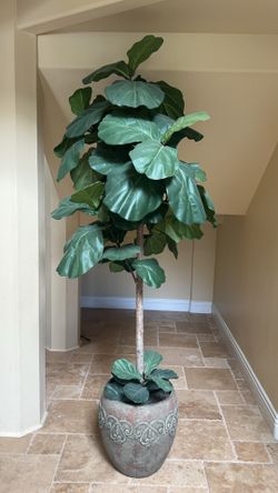 Beautiful Artificial Fiddle Tree With Pot 