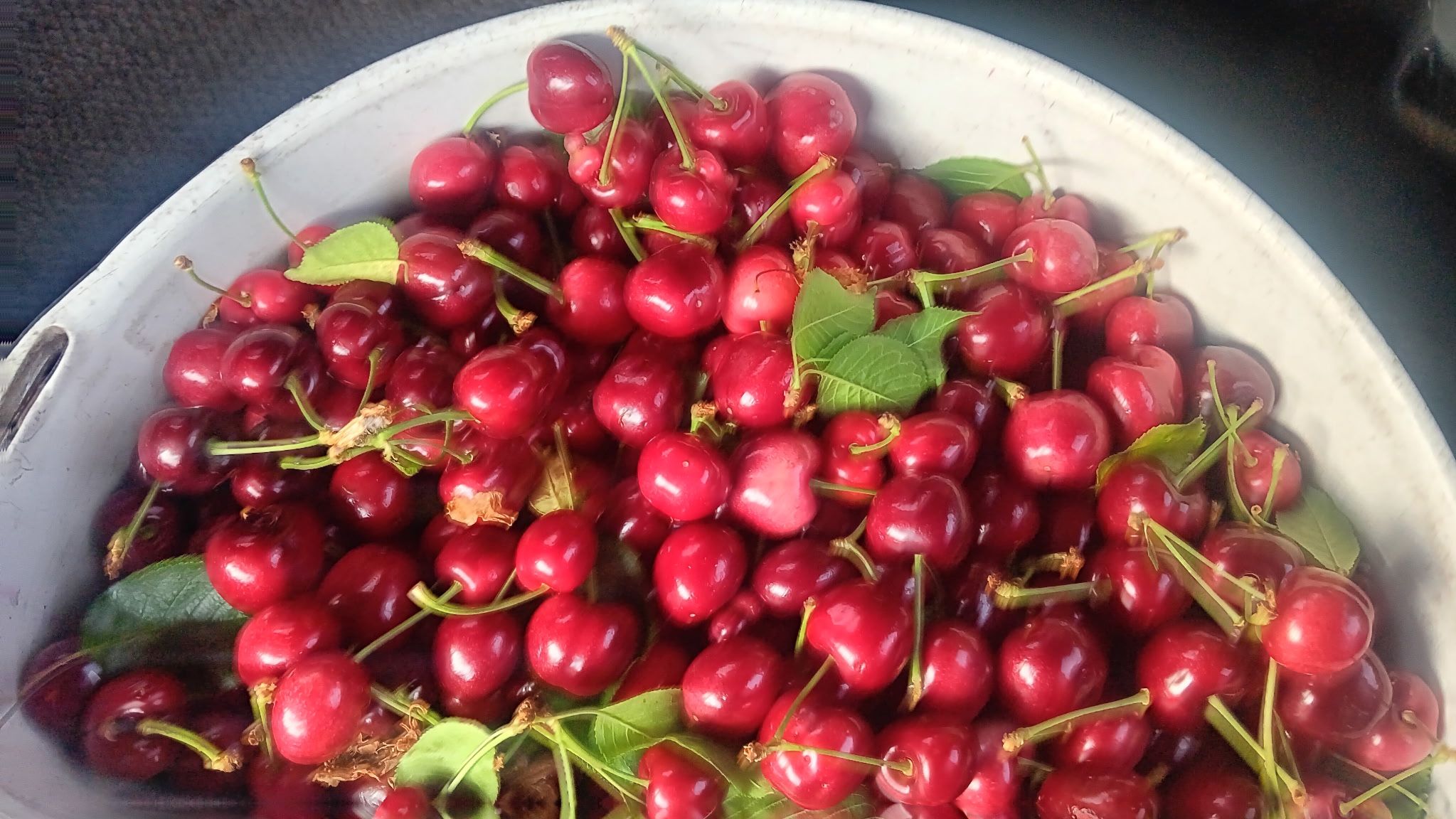 Cherries