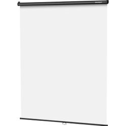 RAUBAY Retractable Pull Down White Screen Backdrop - 59.8" x 86.6"