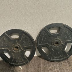 Weider 25lb Standard Weight Plates 