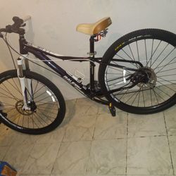 Bike Raleigh Disc Brakes 