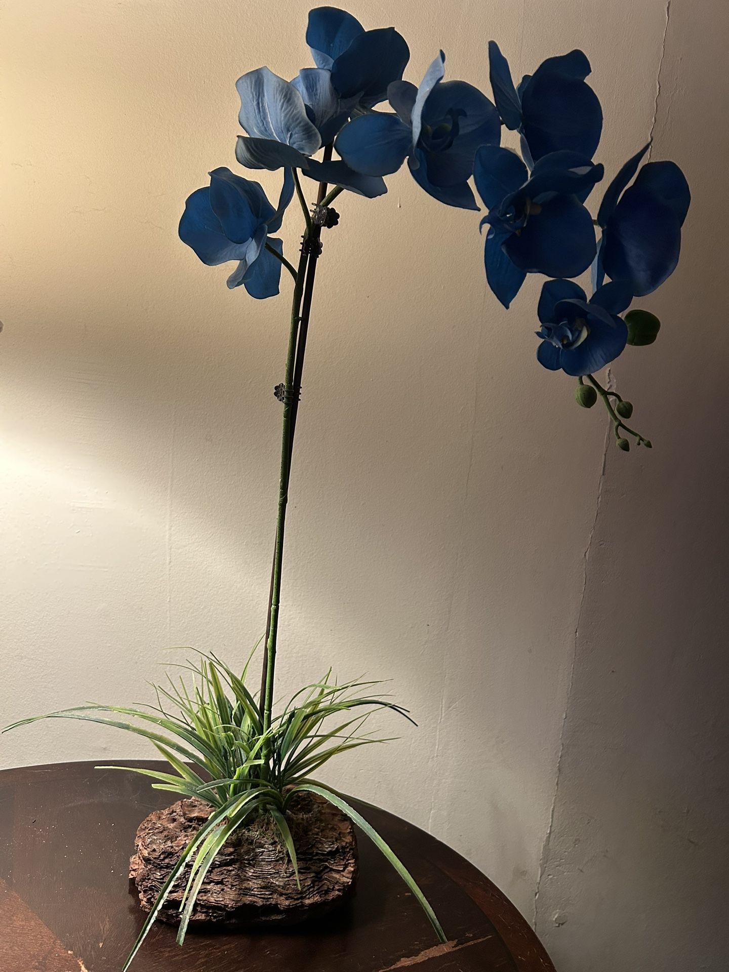 Blue Orchid -Fake