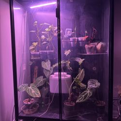 IKEA Glass Cabinet RUDSTA