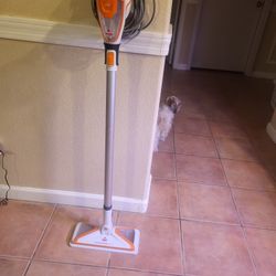 Bissell Powerfresh Steamer