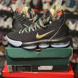 Nike Lebron WTT 16 Size 9.5 $200