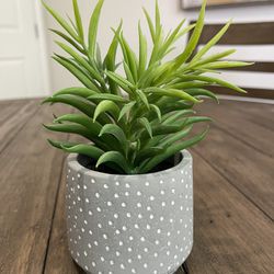 Artificial Potted Succulent 