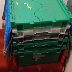 Storage Bins 