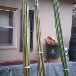 Bamboo Sticks ,,,$2 Each 