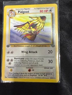 1st Edition Pidgeot