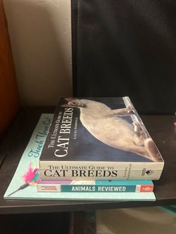 Books about cats cat lady kitty kittens feline felines reading