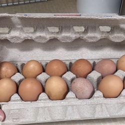 Fresh eggs