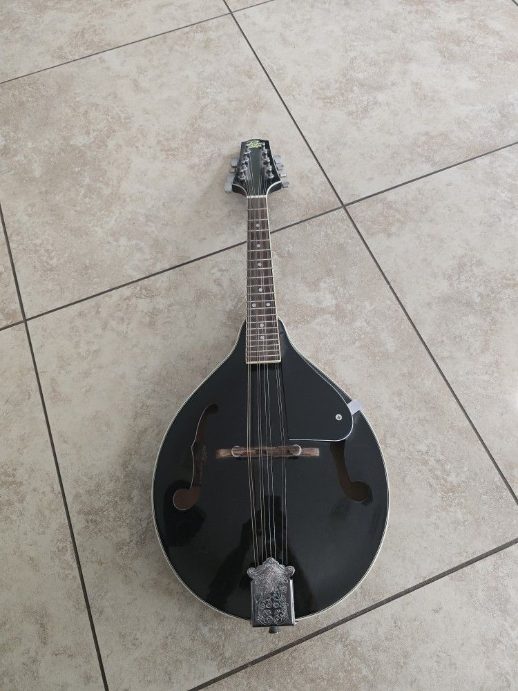 Mandolin 