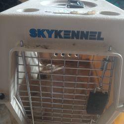 Sky Kennel For Medium Size Dog 