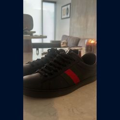Mens Gucci Sneaker
