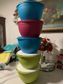 Tupperware Bowl Grandes
