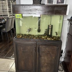 Pecera Con Mueble