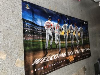 Vinyl Baseball Banner (the Show )