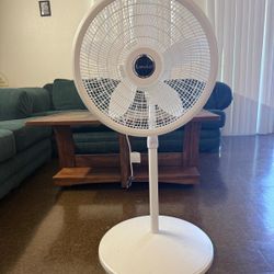 White Fan
