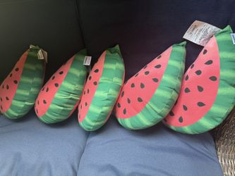 5pcs Outdoor Pillows New Watermelon