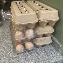 5 Dozen Eggs