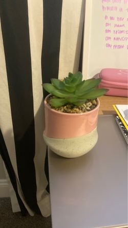Small fake plant