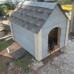 Dog House