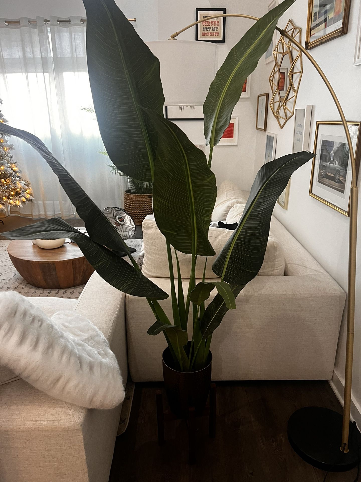 House Plant (fake)
