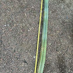 4ft San Pedro Cactus 🌵 Cutting, Large San Pedro Cutting Ready To Plant 