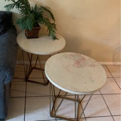 Side Tables And Plant 