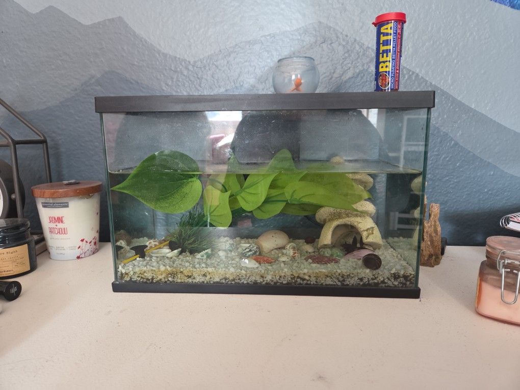 Beta Tank