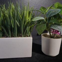 Fake Plant Home Decor. 3 Each