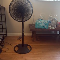 Standing Fan