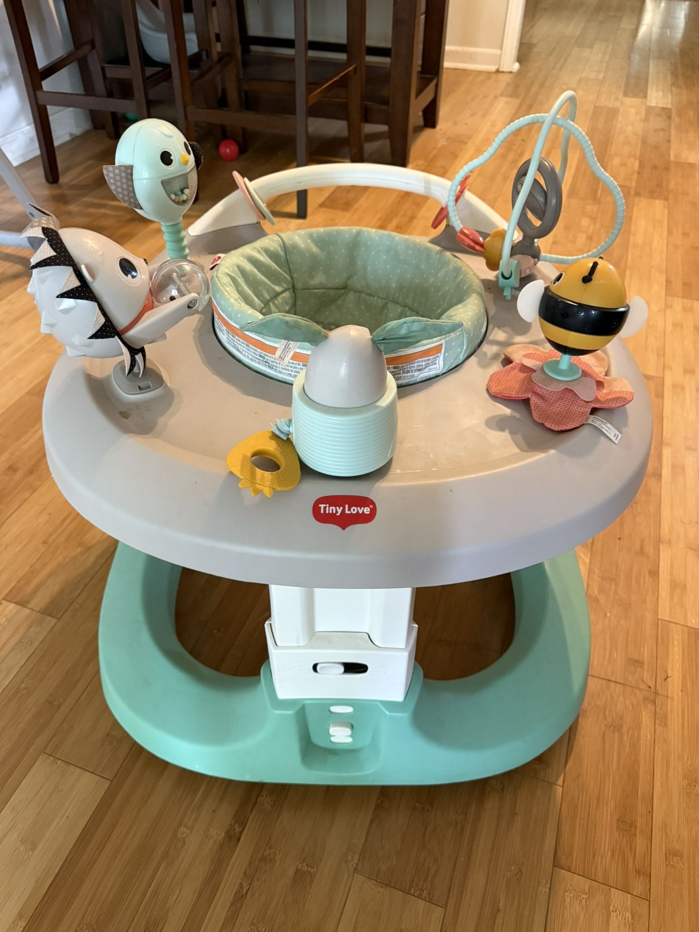 Baby Bouncer