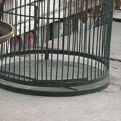 Bird cage