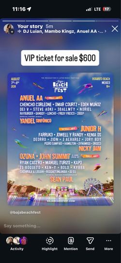 Baja beach fest vip