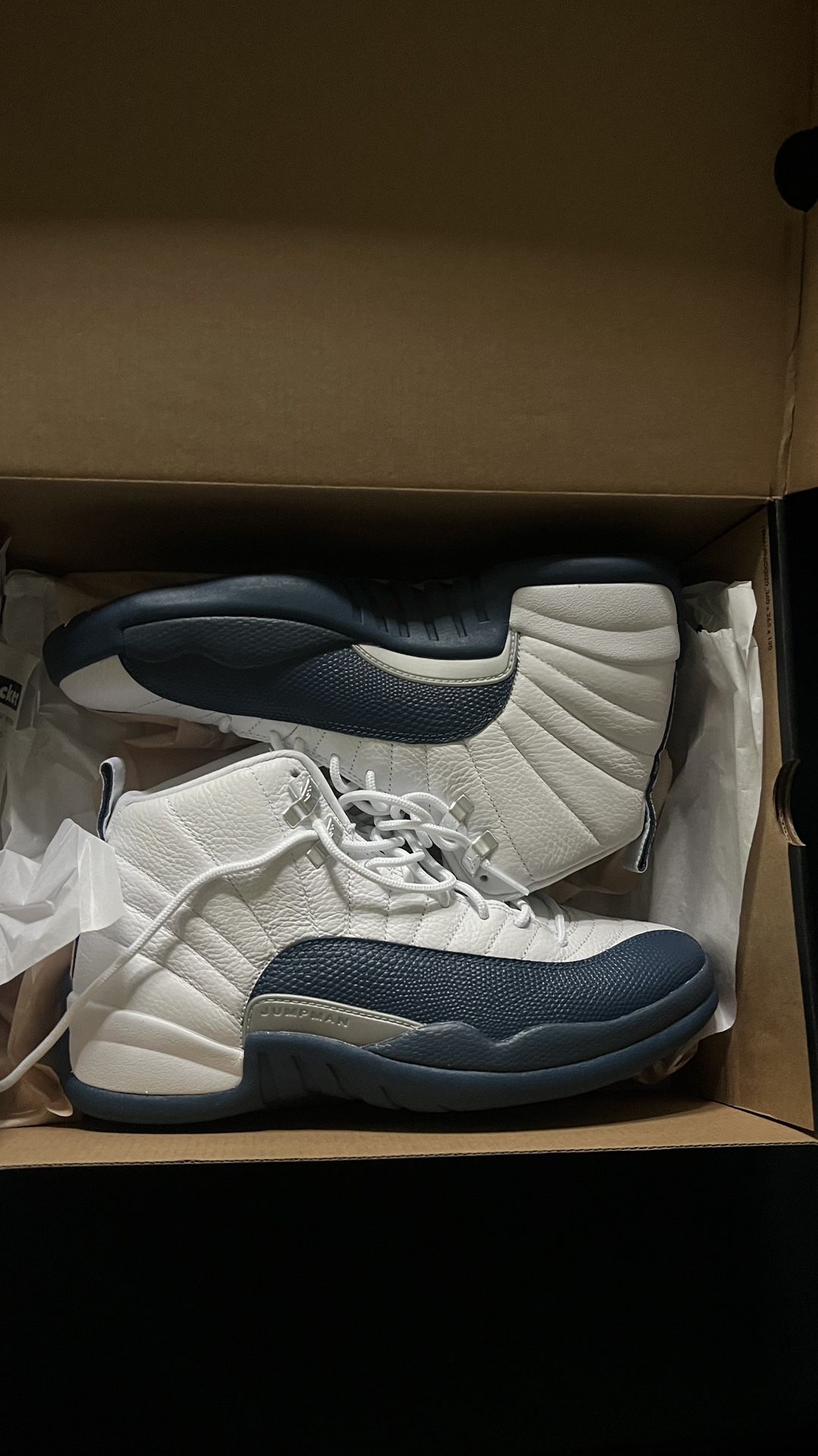 jordan 12 french blue